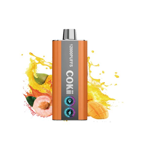 COKII LUXE-5.5 Vape COKII LUXURY 12000 Puff Puff E-sigaret-10PCS/1 doos
