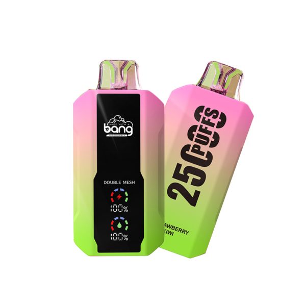 bang 25000-2 bang vape 25000 Puffs 25k E-sigaret-10PCS/1 doosje