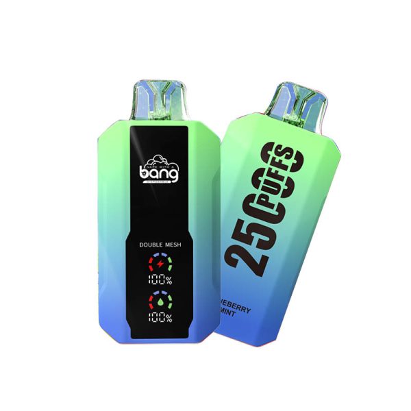 bang 25000-5 bang vape 25000 Puffs 25k E-sigaret-10PCS/1 doosje