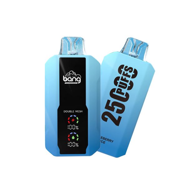 bang 25000-6 bang vape 25000 Puffs 25k E-sigaret-10PCS/1 doosje