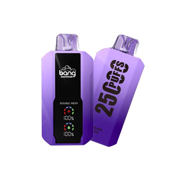 bang 25000-9 bang vape 25000 Puffs 25k E-sigaret-10PCS/1 doosje