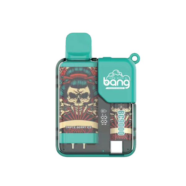 bang 9000-11 bang vape BC 9000 puff 9k E-sigaret-10PCS/1 doos