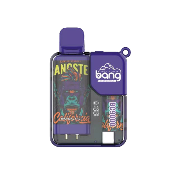 bang 9000-12 bang vape BC 9000 puff 9k E-sigaret-10PCS/1 doos