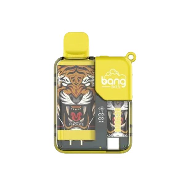 bang 9000-6 bang vape BC 9000 puff 9k E-sigaret-10PCS/1 doos