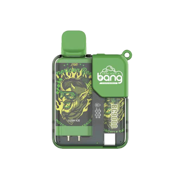 bang 9000-8 bang vape BC 9000 puff 9k E-sigaret-10PCS/1 doos