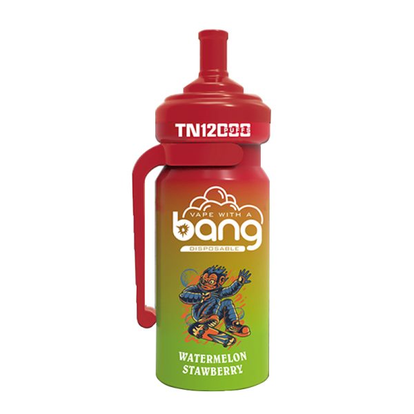 bang NT 12000-1 Vape Bang NT 12000 puff 12K E-sigaret-10PCS/1 doos