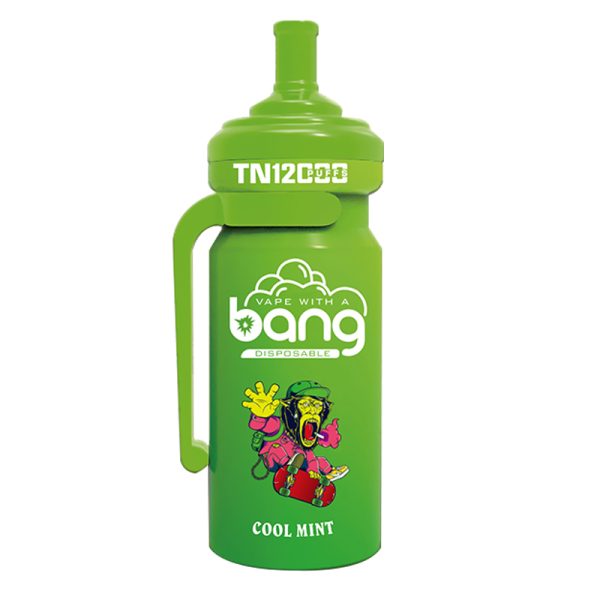bang NT 12000-11 Vape Bang NT 12000 puff 12K E-sigaret-10PCS/1 doos