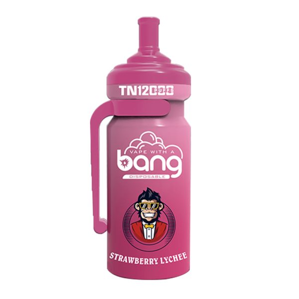 bang NT 12000-2 Vape Bang NT 12000 puff 12K E-sigaret-10PCS/1 doos