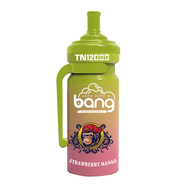 bang NT 12000-4 Vape Bang NT 12000 puff 12K E-sigaret-10PCS/1 doos