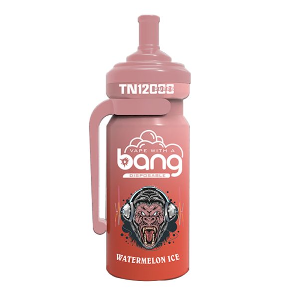 bang NT 12000-7 Vape Bang NT 12000 puff 12K E-sigaret-10PCS/1 doos