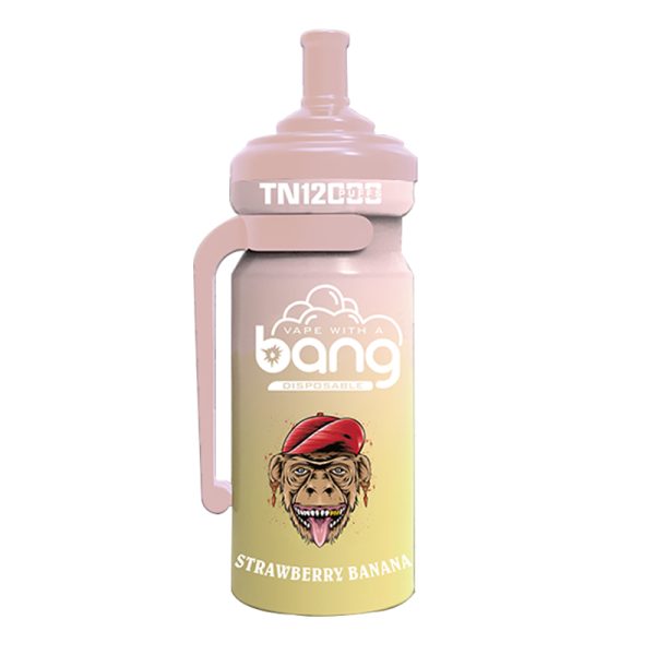 bang NT 12000-8 Vape Bang NT 12000 puff 12K E-sigaret-10PCS/1 doos