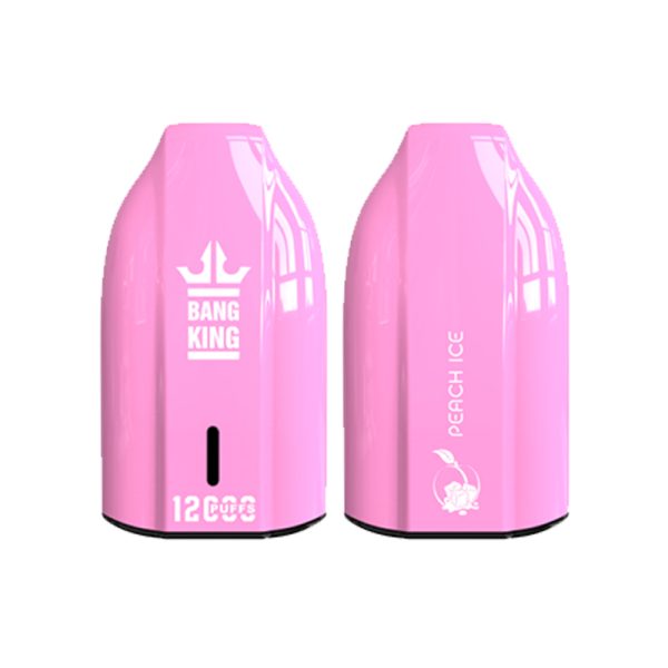 bang king 12000 puff Bang King 12000 | Ontdek Bang King Vape 12000