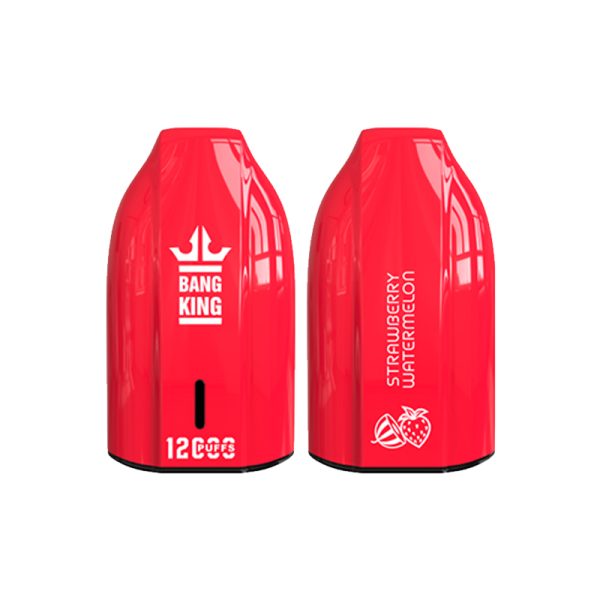 bang king 12000 puff Bang King 12000 | Ontdek Bang King Vape 12000