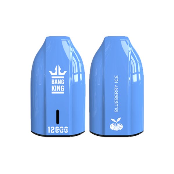 bang king 12000 puff Bang King 12000 | Ontdek Bang King Vape 12000