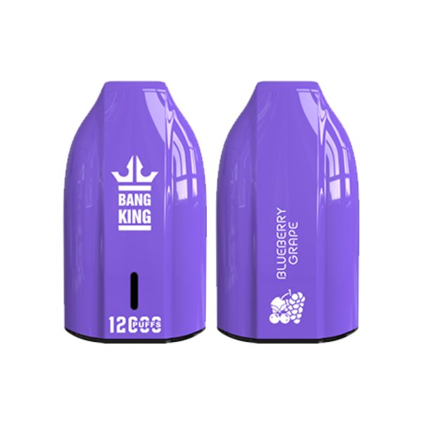 bang king 12000 puff Bang King 12000 | Ontdek Bang King Vape 12000