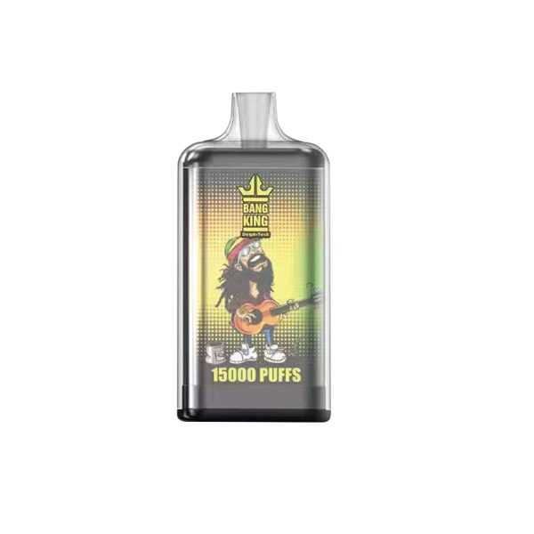 bang king 15K-15 Vape Bang king 15000 puff 15K E-sigaret-10PCS/1 doos