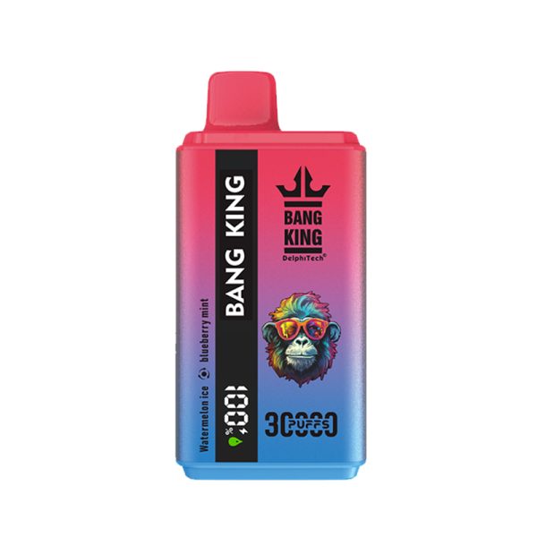 bang king 30K-20 bang king 30000 Puffs 30K E-sigaret-10PCS/1 doos