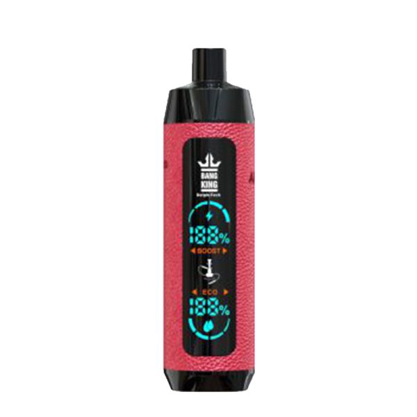 bangking 25k 皮套有屏-10 Vape pen Bang King 25000 puff 25k E-sigaret-10PCS/1 doos